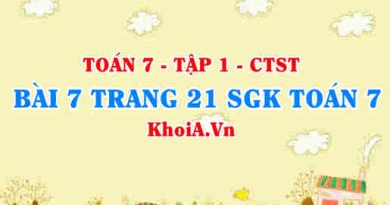 Bài 7 trang 21 SGK Toán 7 tập 1 Chân trời sáng tạo